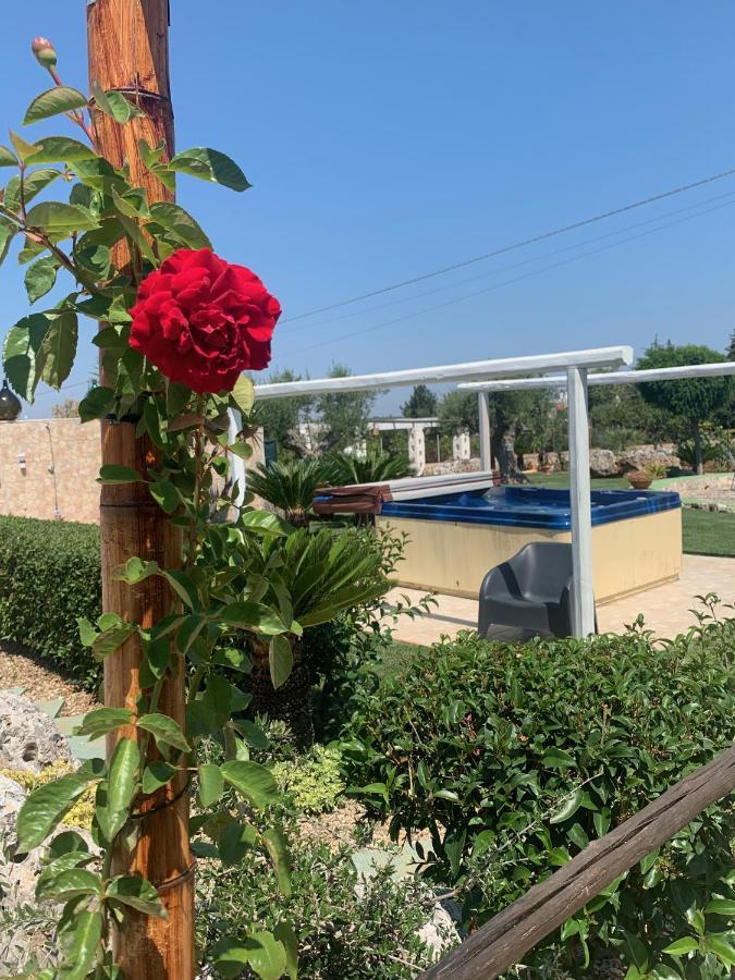 B&B Villa Grassi Αλμπερομπέλο Εξωτερικό φωτογραφία