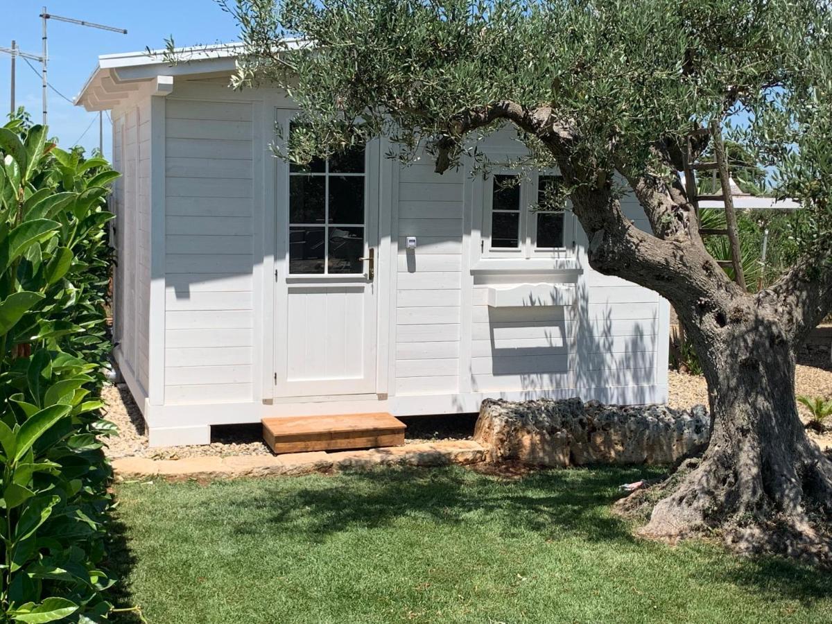 B&B Villa Grassi Αλμπερομπέλο Εξωτερικό φωτογραφία