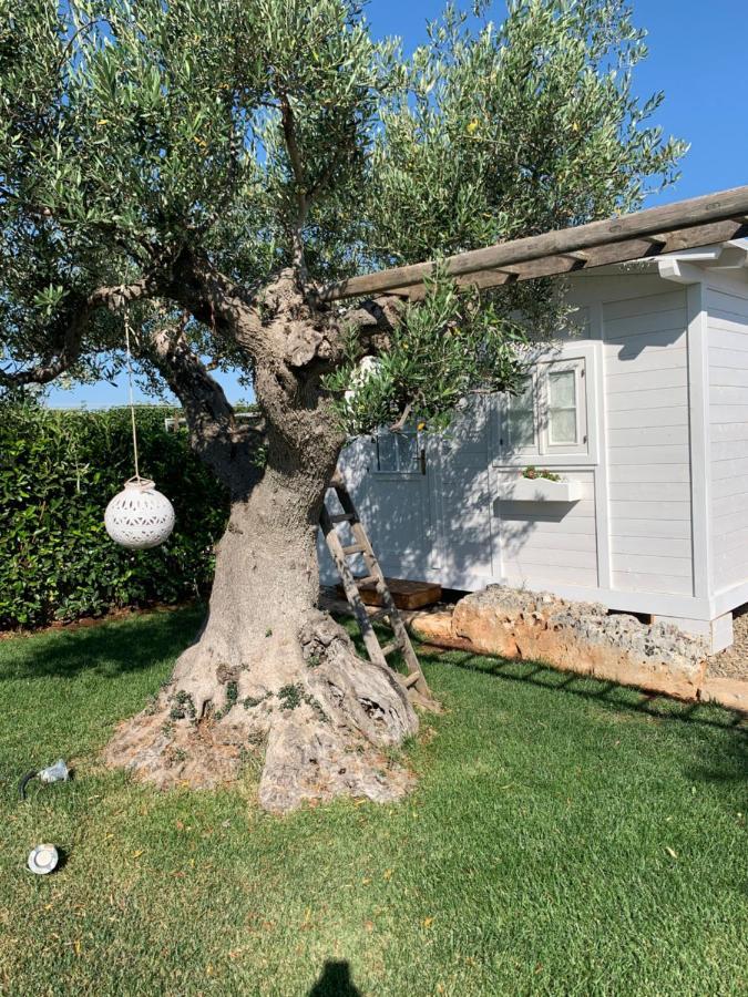 B&B Villa Grassi Αλμπερομπέλο Εξωτερικό φωτογραφία