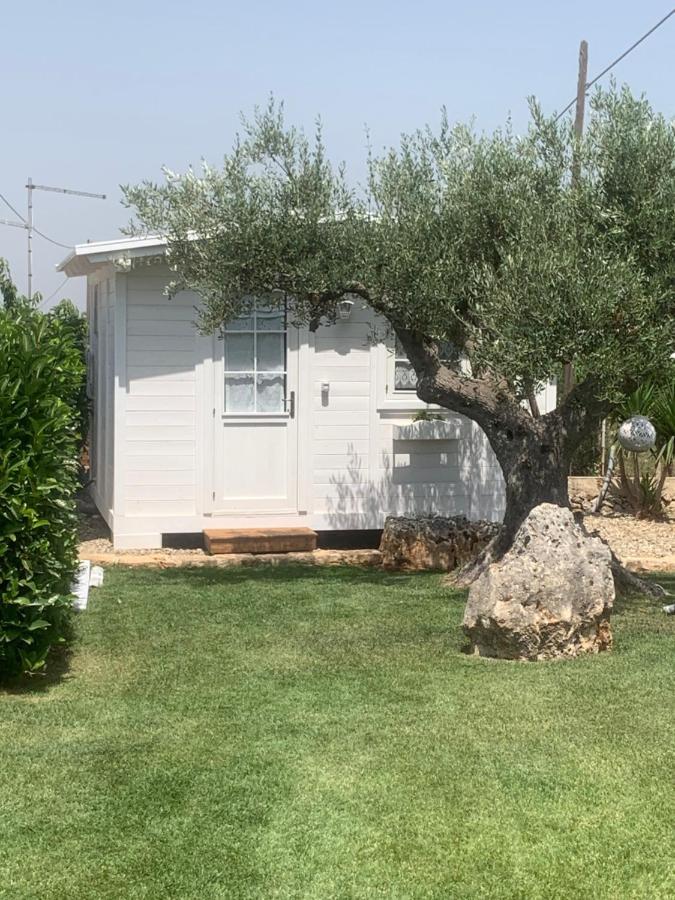 B&B Villa Grassi Αλμπερομπέλο Εξωτερικό φωτογραφία