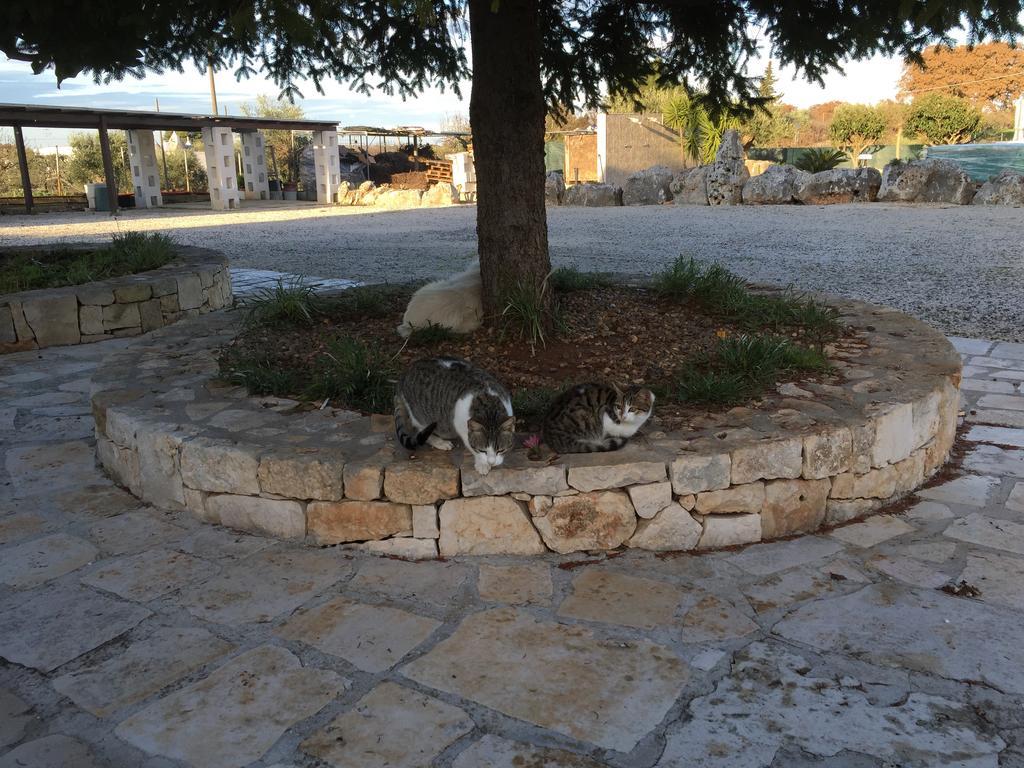 B&B Villa Grassi Αλμπερομπέλο Εξωτερικό φωτογραφία