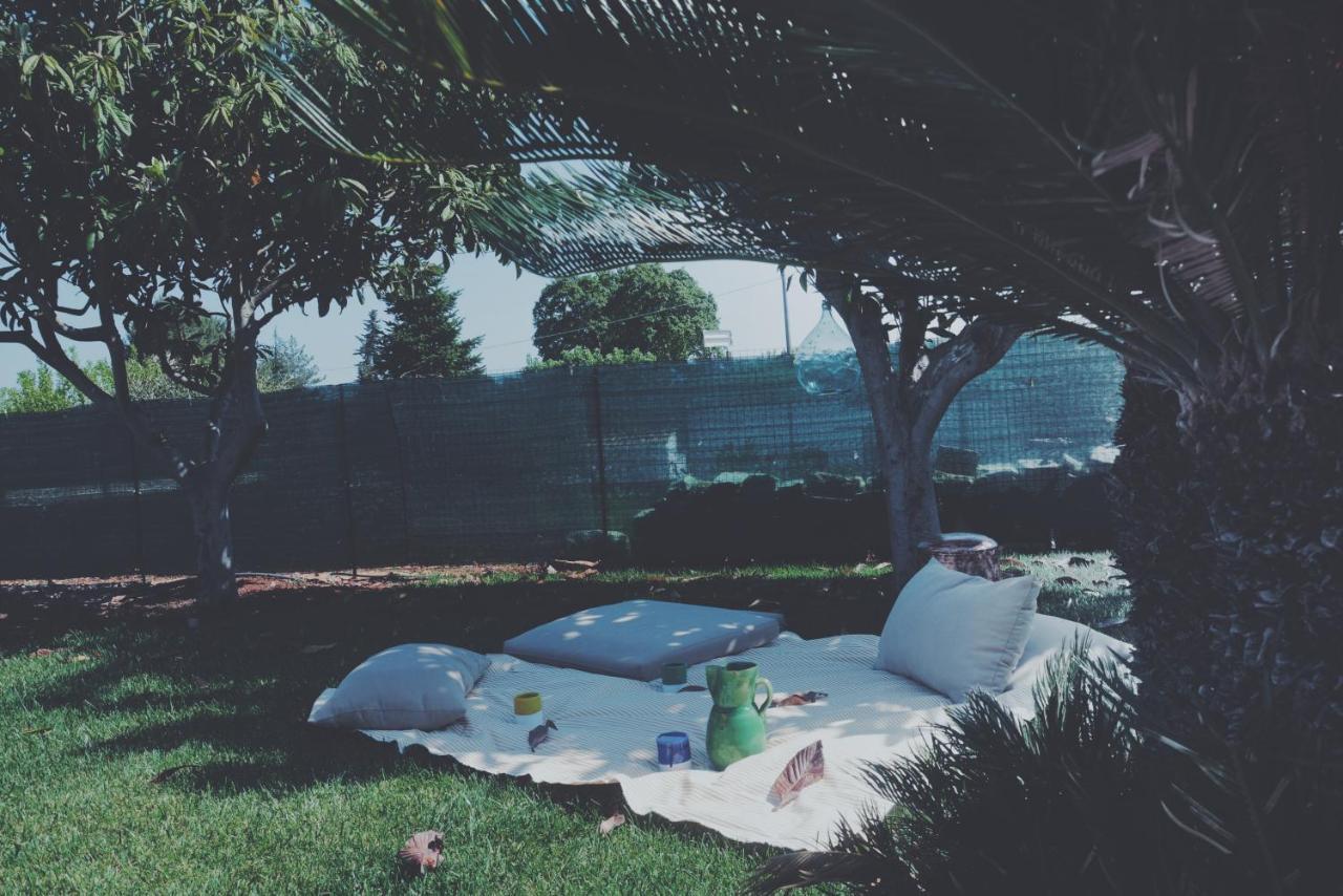 B&B Villa Grassi Αλμπερομπέλο Εξωτερικό φωτογραφία