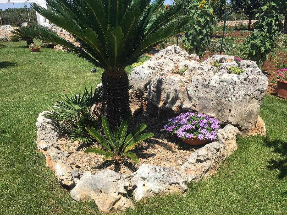 B&B Villa Grassi Αλμπερομπέλο Εξωτερικό φωτογραφία